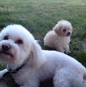 Meet your Posher, Laura